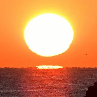 Profile image of ...