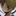 殺し屋はバレてはいけない…！！