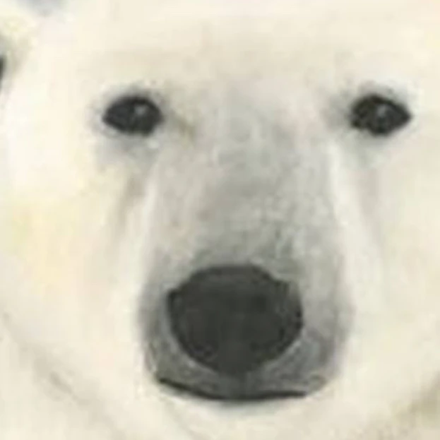 북..북북..곰..