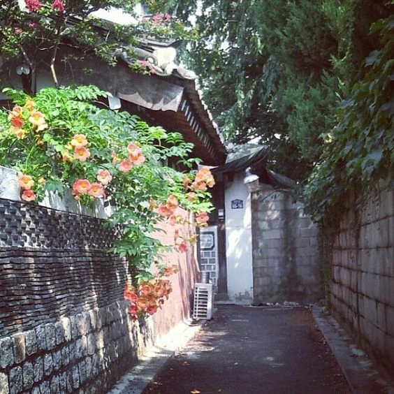 이도영
