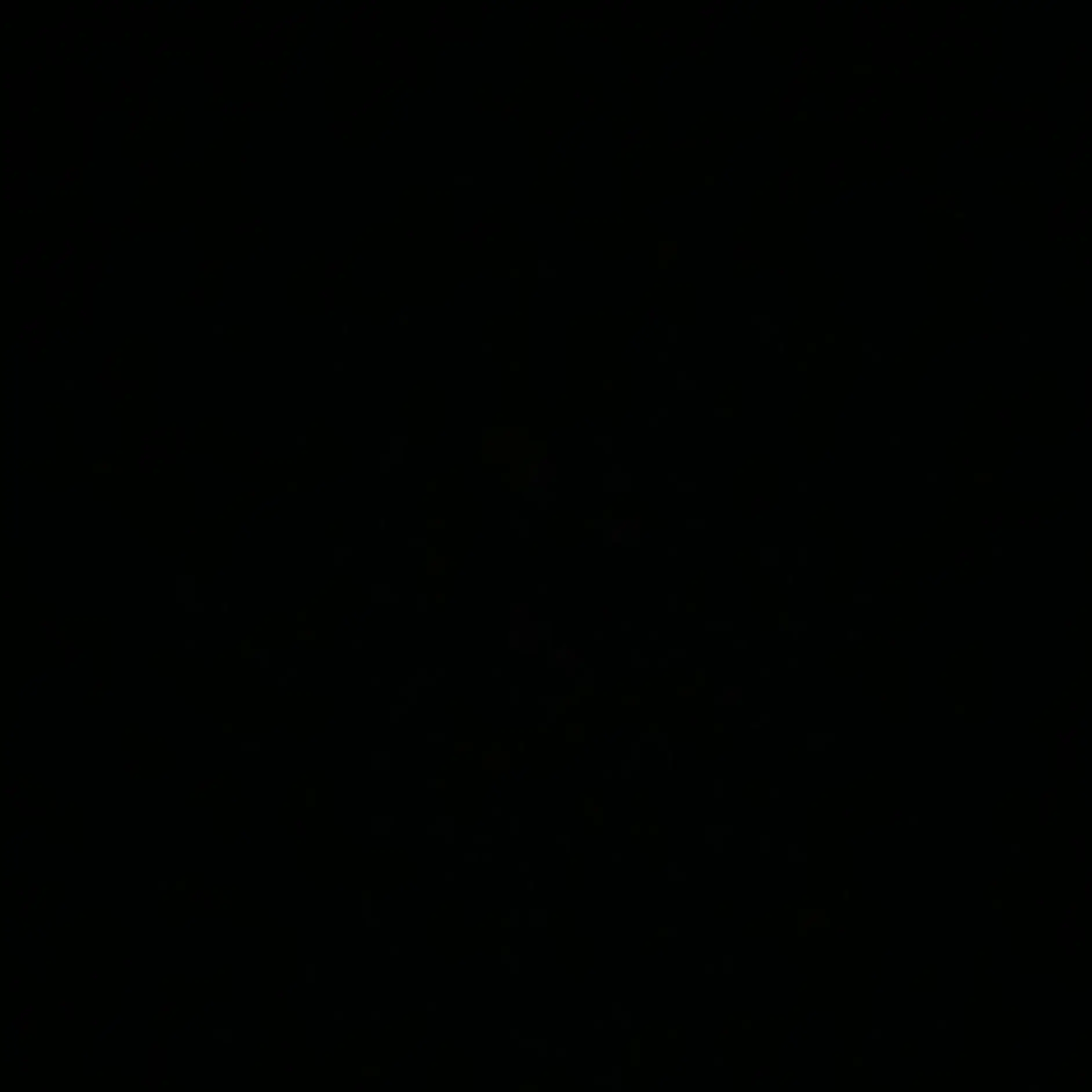 LiveDoxle4984의 학교 유명 강아지 셋