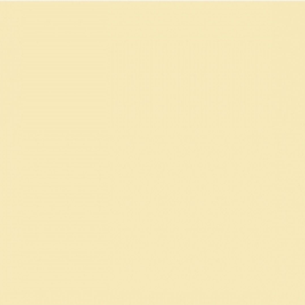 토깽이네 대표 이미지