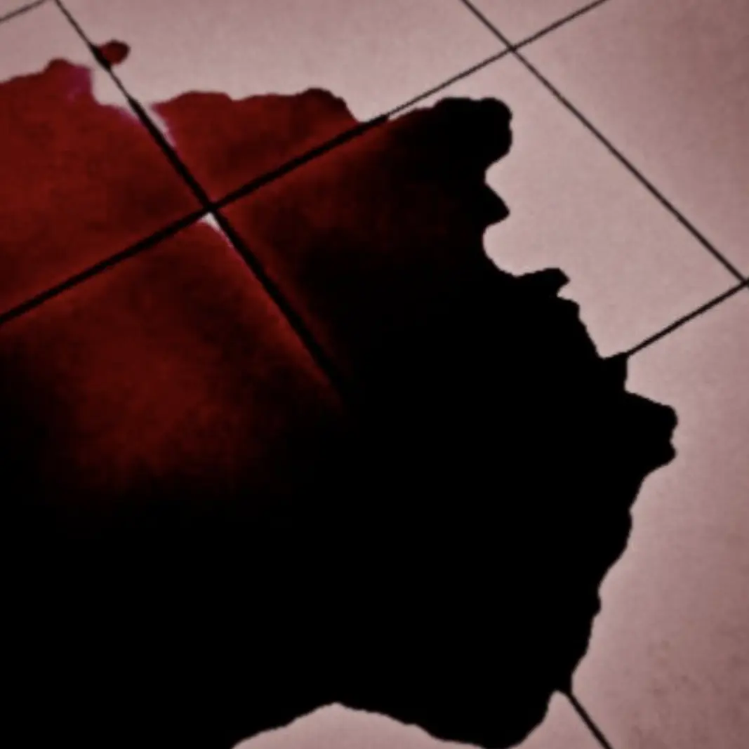 nyamodanya의 使用禁止