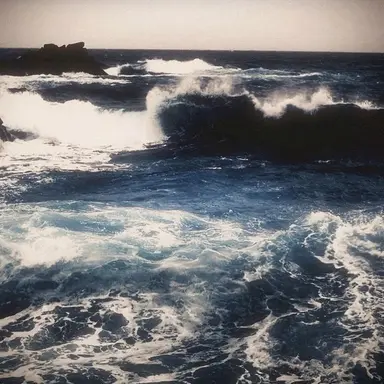 Profile image of 유지민