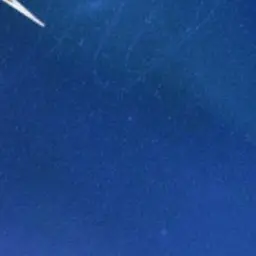 Profile image of 아람