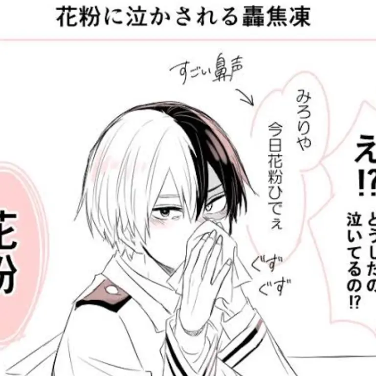 NutmegBat3470의 可愛い焦凍くん