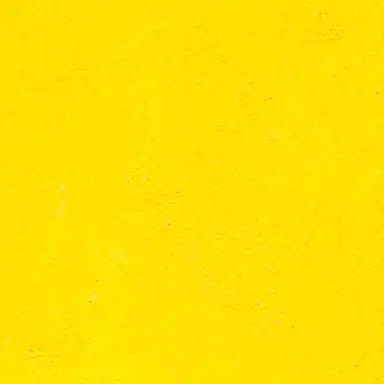 Profile image of 노윤하