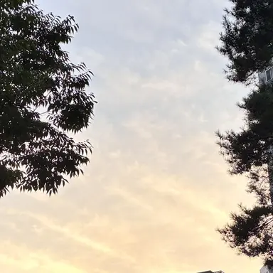 Profile image of 서아