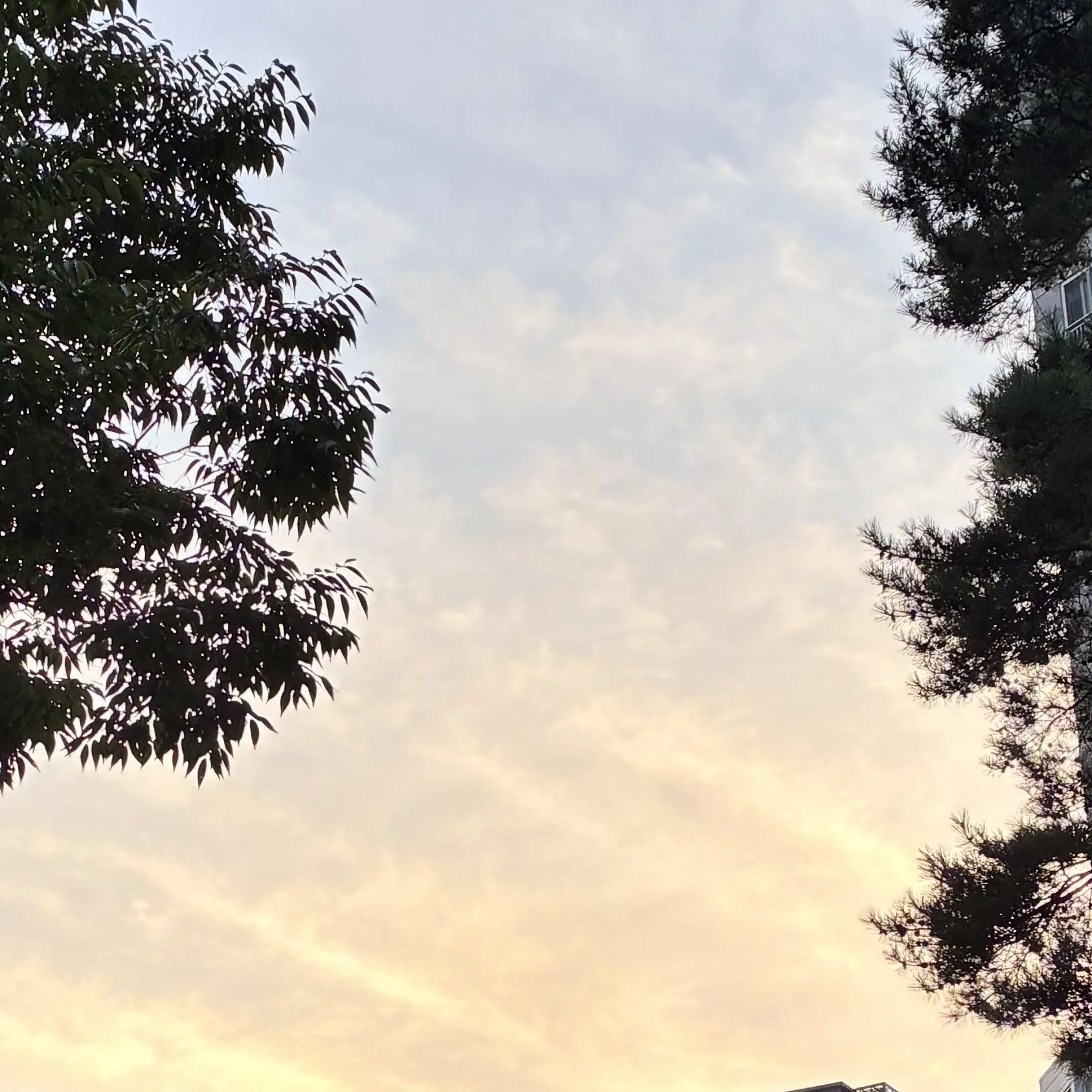 ScaredBurp1954의 자캐 경찰서