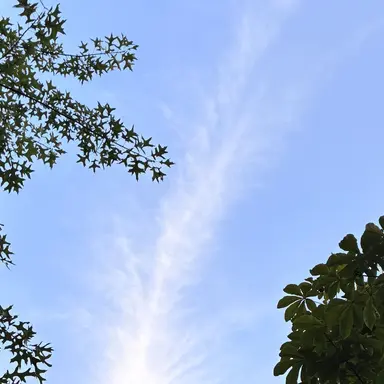 Profile image of 지호