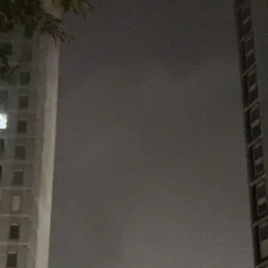 Profile image of 이준