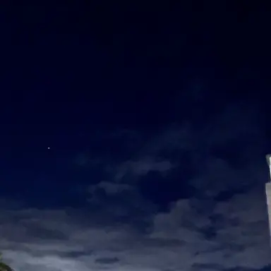 Profile image of 이서