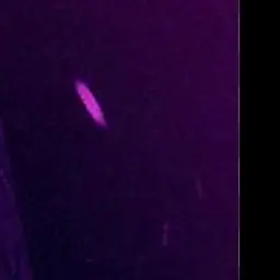 Profile image of 3품 형 누나들