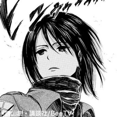 Profile image of ミカサ