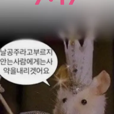 Profile image of 홍챠