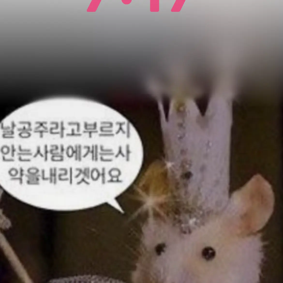 CrazyLiver0551의 드리미 판자기 꼬리 잡기