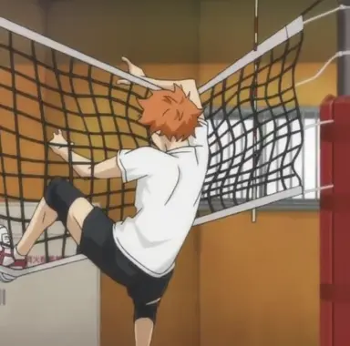 Profile image of Hinata Shoyo