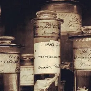 Ewwpotaito의 파티 주최자