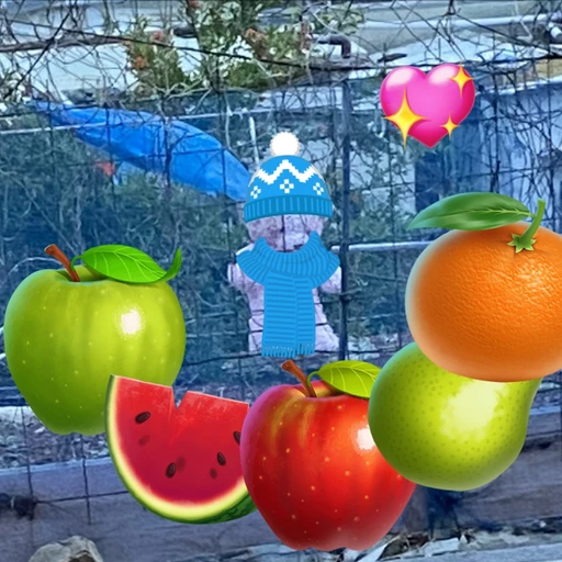 애진