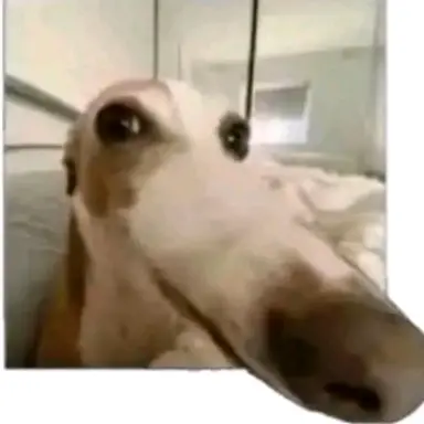 Profile image of 수인커플 남녀무리