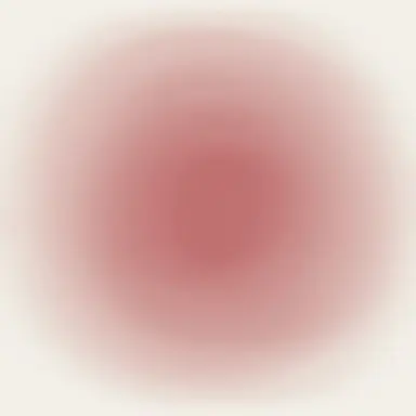 Profile image of 김 수 아