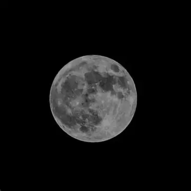 Profile image of 星導 ショウ