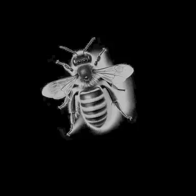 Profile image of Pollen