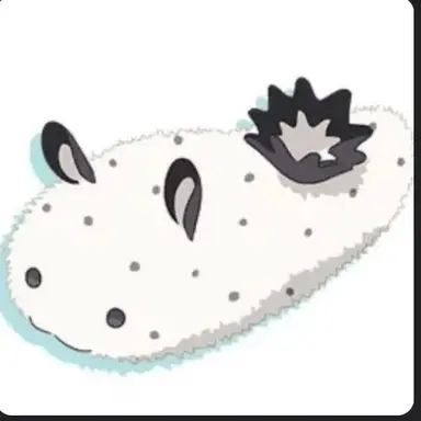 Profile image of HUSI