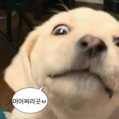 Profile image of 찐따혁
