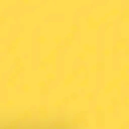 노아