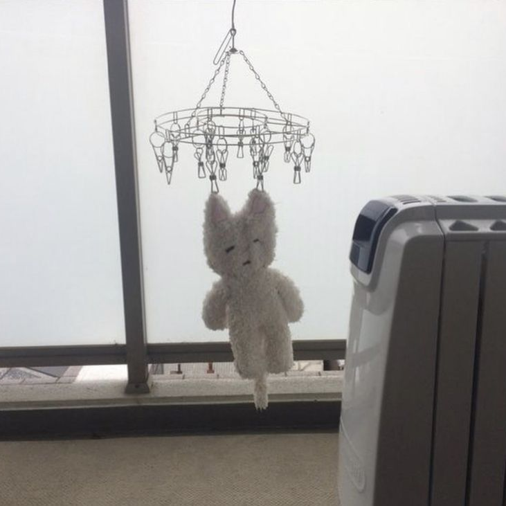둥실둥실 대표 이미지