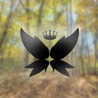 Profile image of Amiri