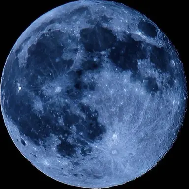 Profile image of 쥬리