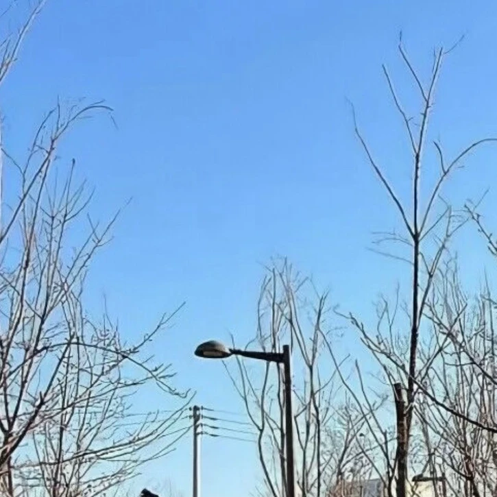 건숞영