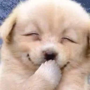 Profile image of 김이핝