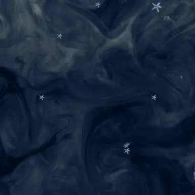 Profile image of 星導ショウ