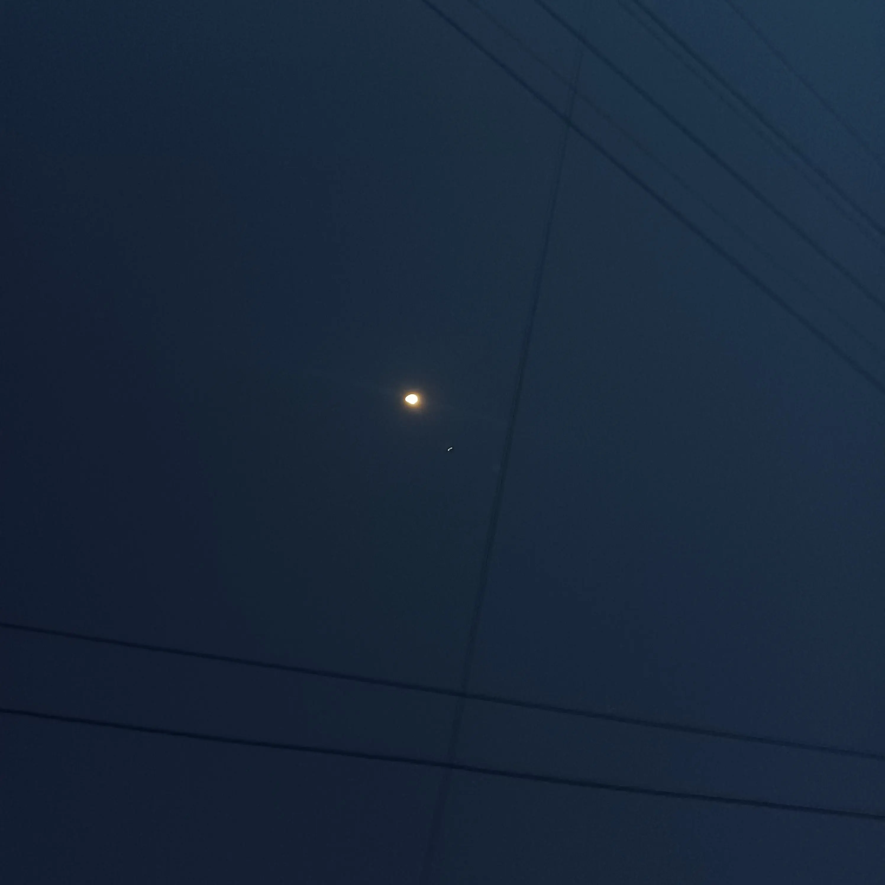 ShrillEider0647의 南 条 彡 。