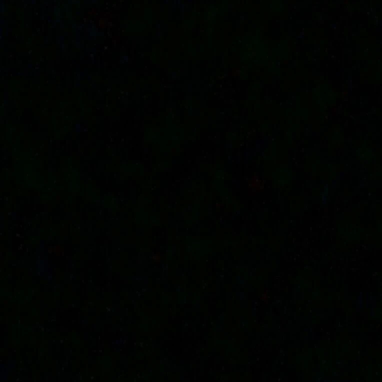 3B