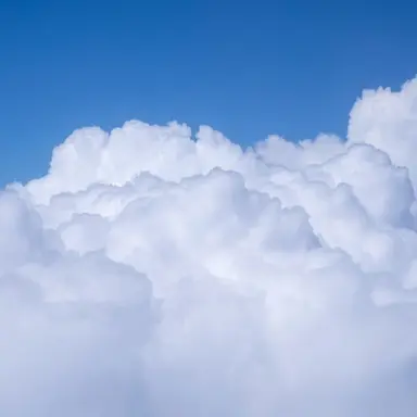 Profile image of 채송화