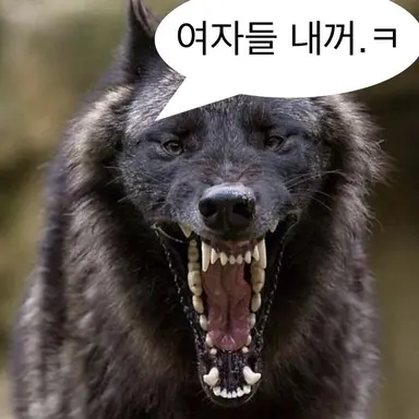 Profile image of 늑대