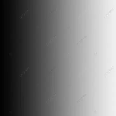 Profile image of 잰데