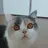 꾸치