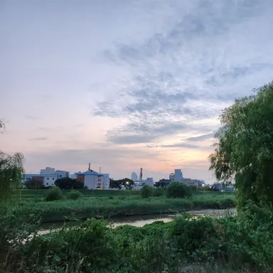 Profile image of 이시윤