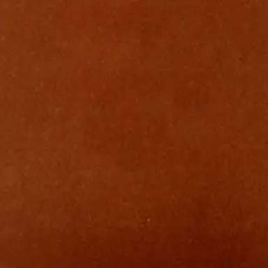 Profile image of 최재희