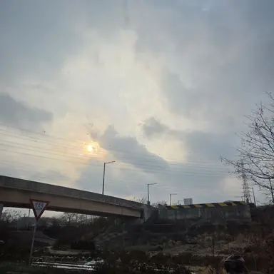 Profile image of 대저택 무리