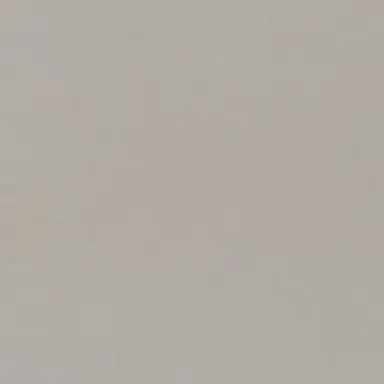 Profile image of 한지성