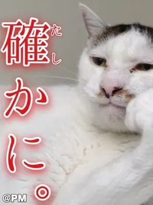 MAIKIIlove의 東リベの百合がほしかったんだい