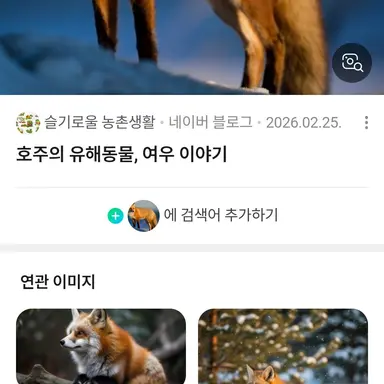 Profile image of 여우