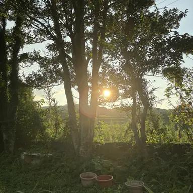 Profile image of たかと