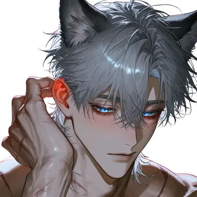 Profile image of ヴォルフ